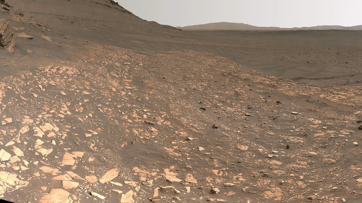 De rover Perseverance op Mars