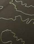 Mapping